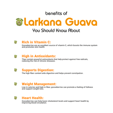 Larkana Guava(لاڑکانہ کے امرود) Benefits