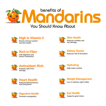 Mandarins(سانترہ) Benefits