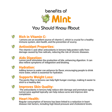 Pudina-Mint - (پودینہ) - Benefits