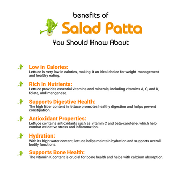 (سلاد پتہ)salad Patta