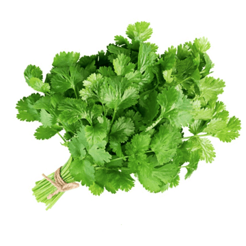 Coriander (Sabz Dhania / سبز دھنیا) – 1 guti -