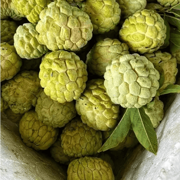 Custard Apple (Sharifa / شریفا) – 500g ± 25g -