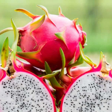 Dragon Fruit (Pitaya / ڈریگن فروٹ) – 500g ± 25g -