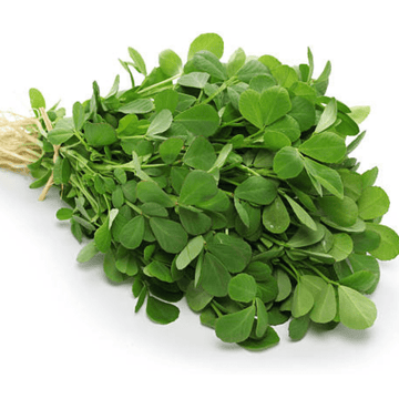 Fenugreek (Methi / میتھی) – 1 guti -