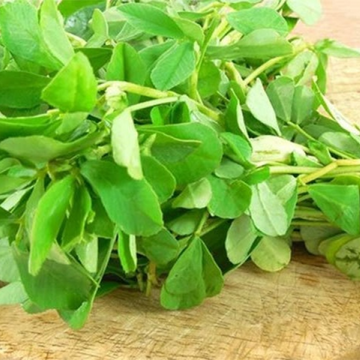 Fenugreek - (میتھی)