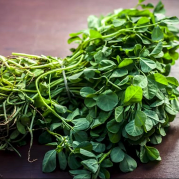 Fenugreek - Methi (میتھی)