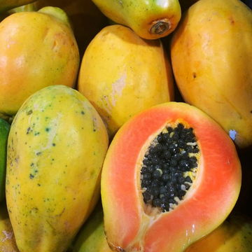 Papaya (Papita / پپیتا) - 1pc -