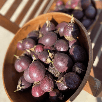 Passion Fruit (پیشن فروٹ) – 250g ± 25g -