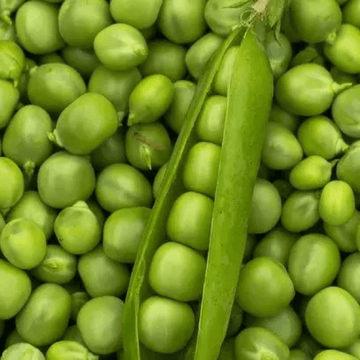 Peas (Matar / مٹر) – 500g ±50g -