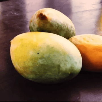 Totapuri Mango (ٹوٹاپوری آم) – 1kg ± 50g -
