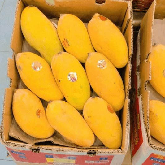 Mango Sindhri -(سندھڑی آم)