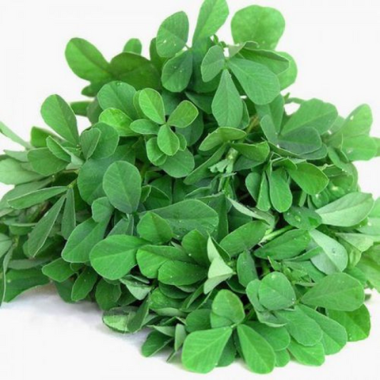 Methi(میتھی)