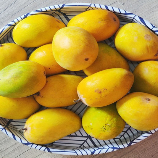 Almas Mango (الماس آم) – 1kg ± 50g - 