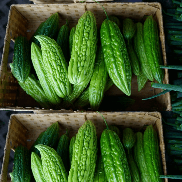 Bitter Gourd (Karelay / کریلے) – 500g ± 25g - 