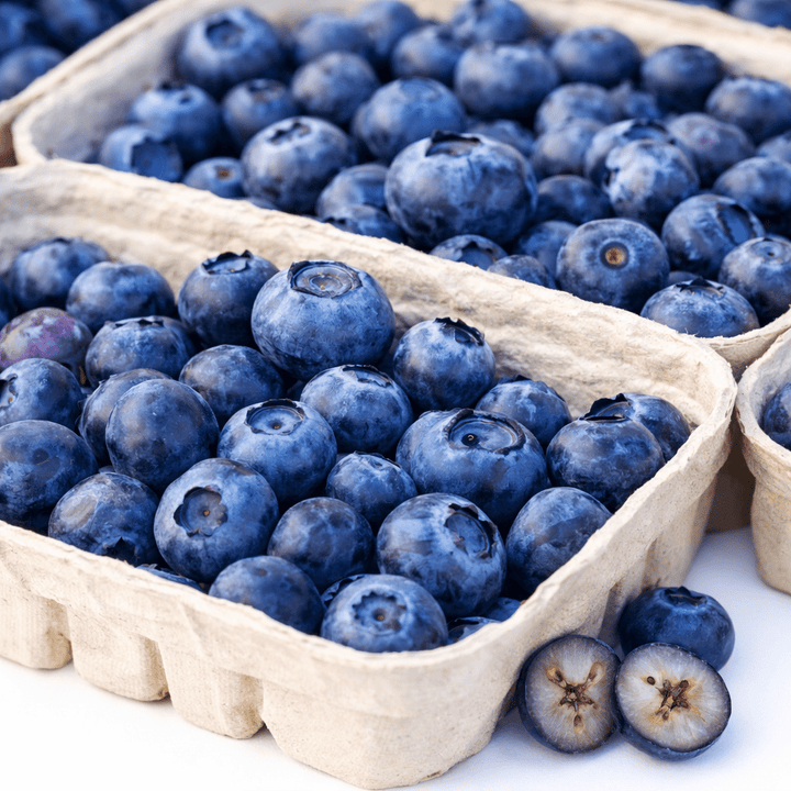 Blueberries (بلیو بیریز) – 125g ± 10g - 