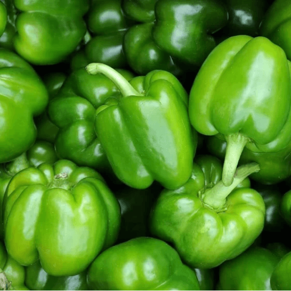 Capsicum (Hari Shimla Mirch / ہری شملہ مرچ) – 500g ± 40g - 