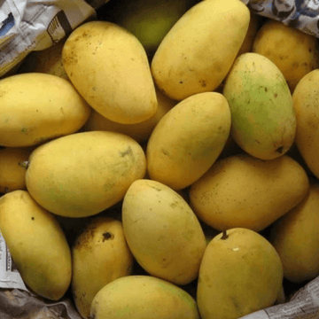 Chaunsa (چونسا آم) – 1kg ± 50g - 