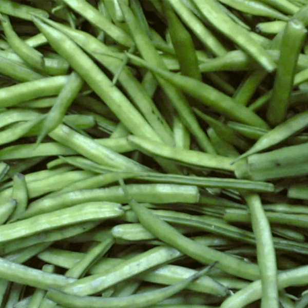 Cluster Beans (Gawar Phali / گوار پھلی) – 500g ± 25g - 
