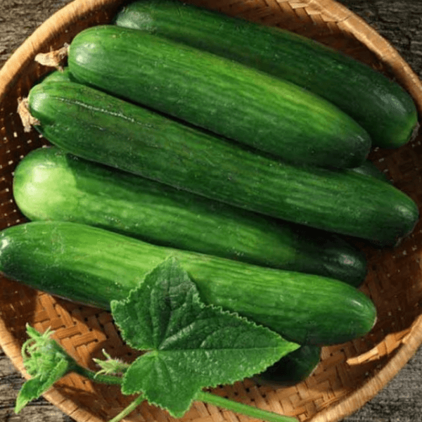 Cucumber (Kheera / کھیرے) – 500g ± 30g - 