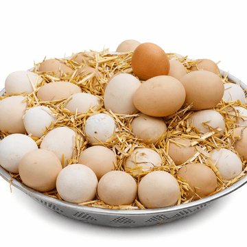 Desi Eggs (Desi Anday / دیسی انڈے) – 6 pcs - 