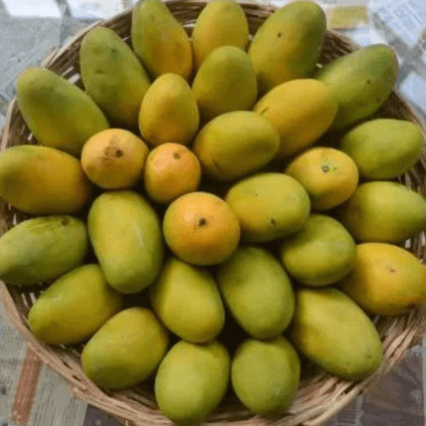 Dusehri Mango (دشہری آم) – 1kg ± 50g - 