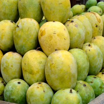 Fajri Mango (فجری آم) – 1kg ± 50g - 
