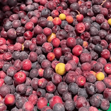 Falsa (فالسہ) – 250g ± 25g - 