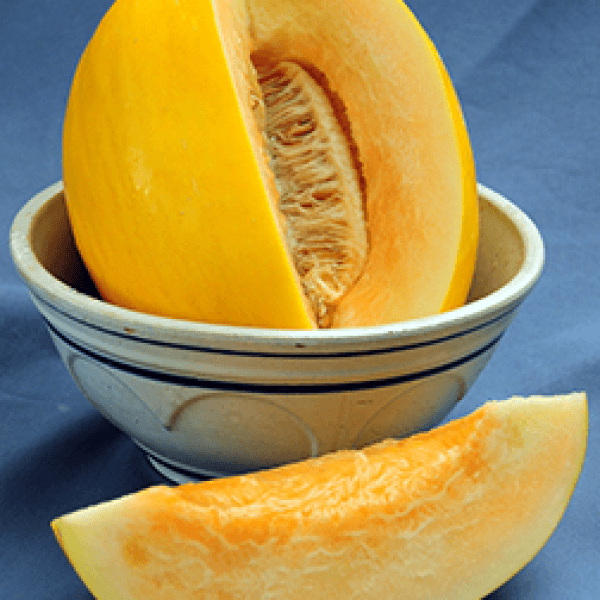 Melon (Garma / گرما) – 1 pc (approx. 1.5–2.5 kg) - 