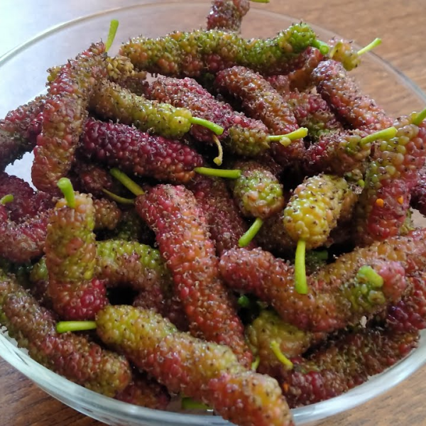 Mulberry (Shehtoot / شہتوت) – 250g ± 25g - 