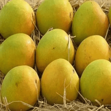 Neelum Mango (نیلم آم) – 1kg ± 50g - 