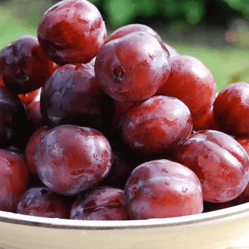 Plum (Aloo Bukhara / آلو بخارا) – 500g ± 25g - 