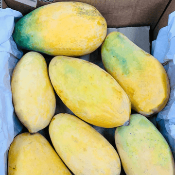 Sindhri Mango (سندھڑی آم) – 1kg ± 50g - 