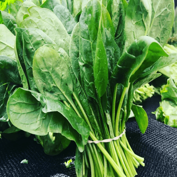 Spinach (Palak / پالک) – 500g ±25g - 
