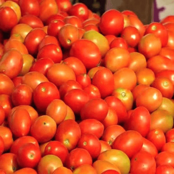 Tomato (Tamatar / ٹماٹر) - 0.5kg