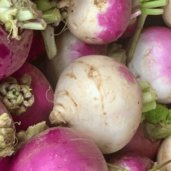 Turnip (Shaljam / شلجم) – 1kg ±150g - 