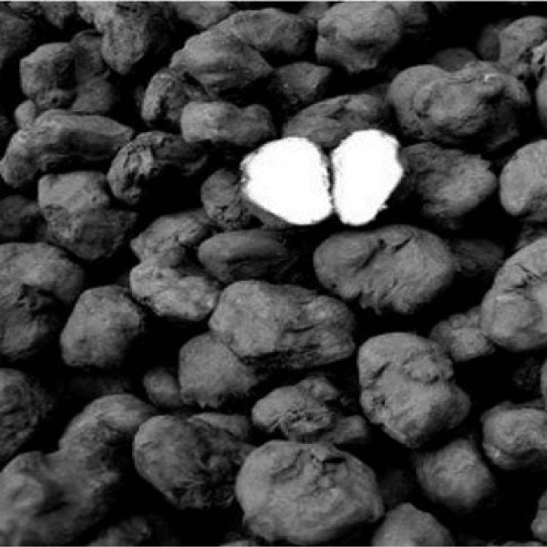Water Chestnut (Singhara / سنگھاڑا) – 500g ± 25g - 