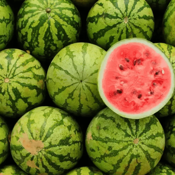 Watermelon (Tarbooz / تربوز) – 1 pc (approx. 3–5 kg) - 