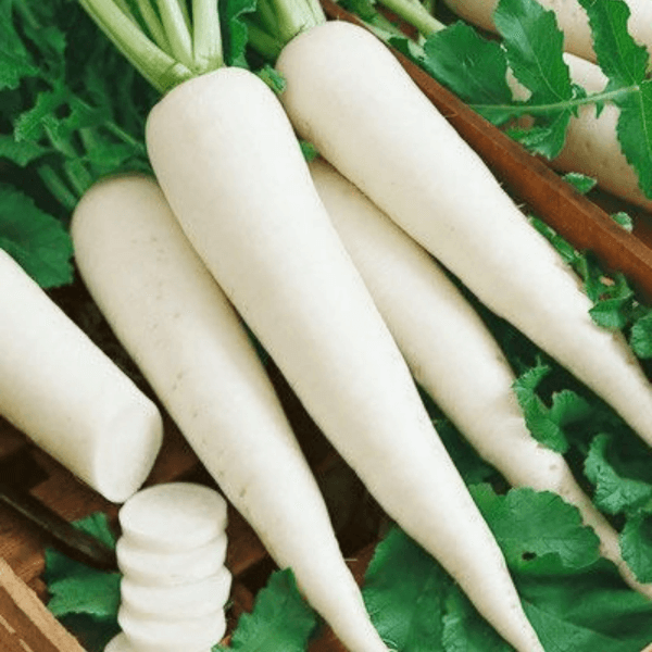 White Radish (Mooli / مولی) – 500g ±25g - 